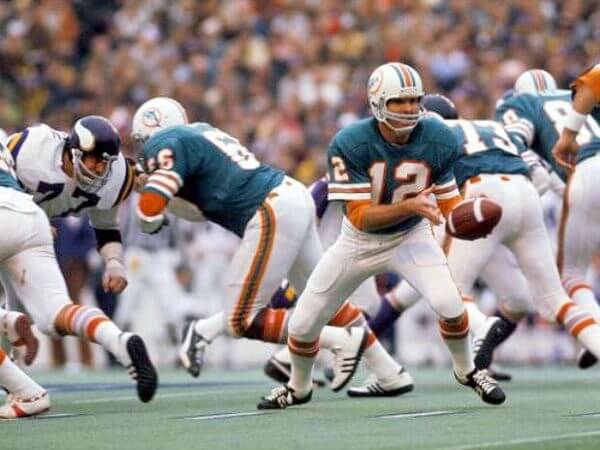 1973 dolphins