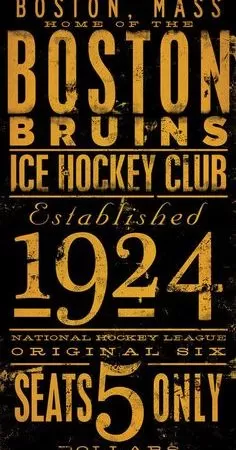 boston bruins 1924