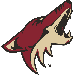 Arizona Coyotes Primary Logo 2015 - Present