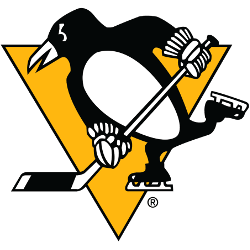 Pittsburgh Penguins Primary Logo 2016 - Present