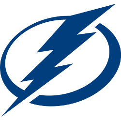 Tampa Bay Lightning Primary Logo 2012 - Present