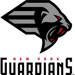 New York Guardians Primary Logo 2020 - Present