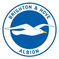 Brighton & Hove Albion FC Primary Logo 2011 - Present