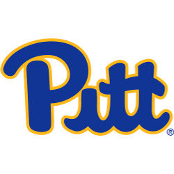 Pittsburgh Panthers Primary Logo 2020 - Present