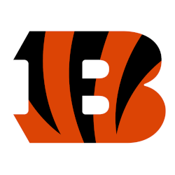 Cincinnati Bengals Primary Logo 2021 - Present