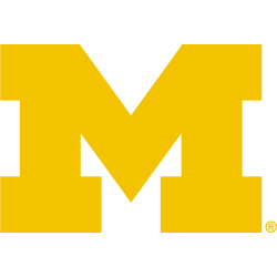 Michigan Wolverines Primary Logo 2016 - Present