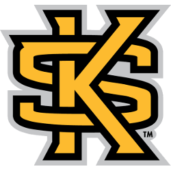 Kennesaw State Owls Primary Logo 2012 - Present
