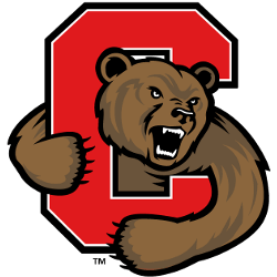 Cornell Big Red Primary Logo 2002 - Present