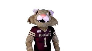 Bobcat Nation School Spirit Sweatshirt Bobcat Mascot Shirt Sports