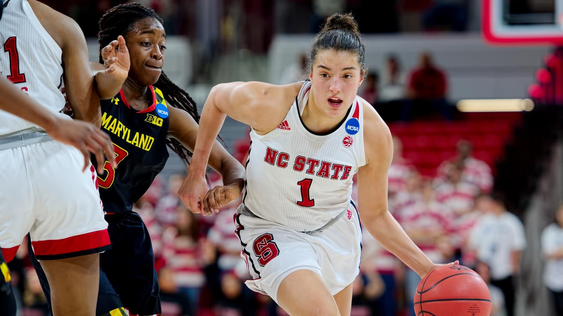 north carolina state wolfpack women's basketball