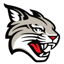 Davidson Wildcats Primary Logo 2023 - Present