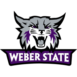 Weber State Wildcats Primary Logo 2023 - Present