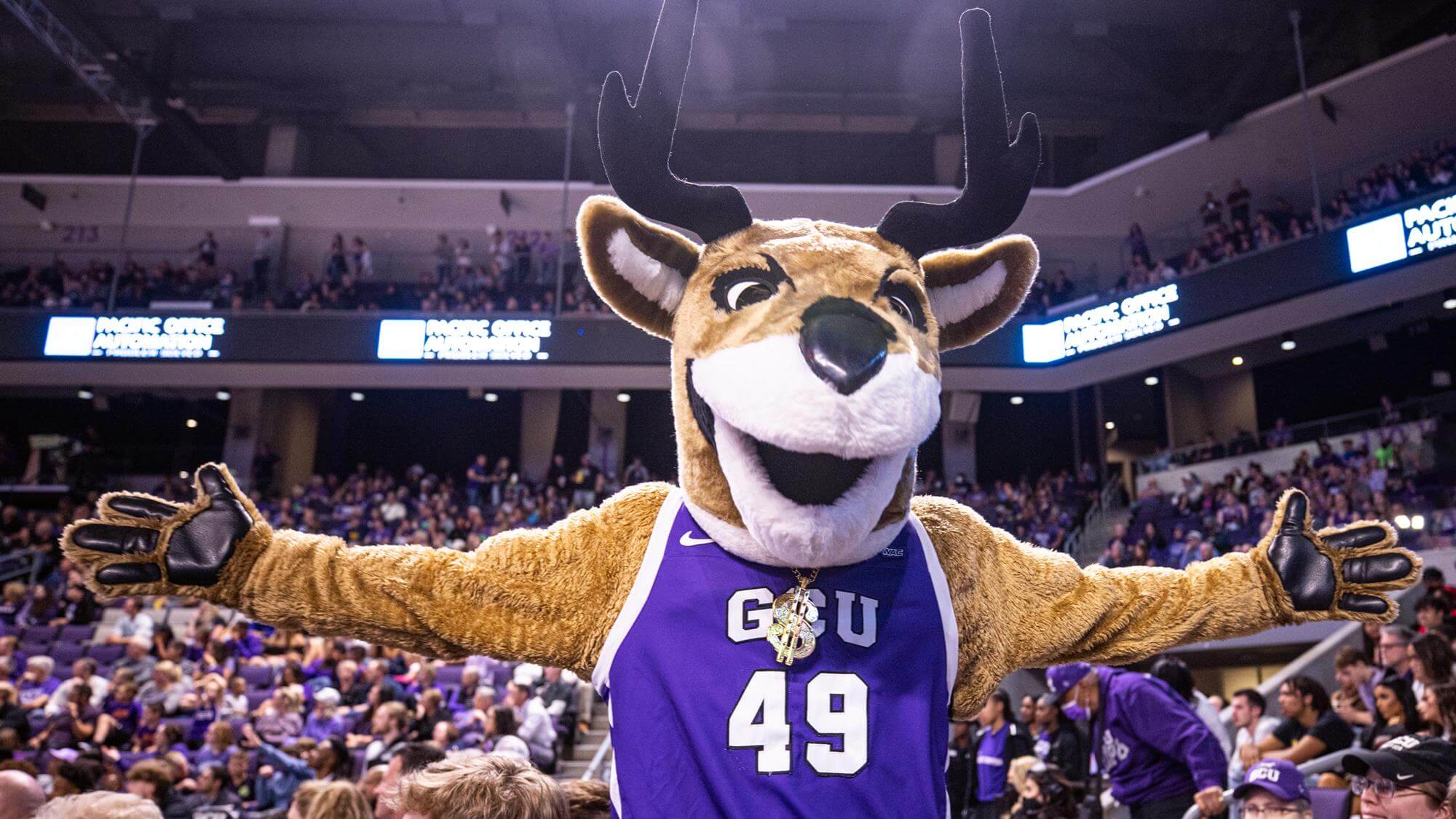 gcu mascot thunder