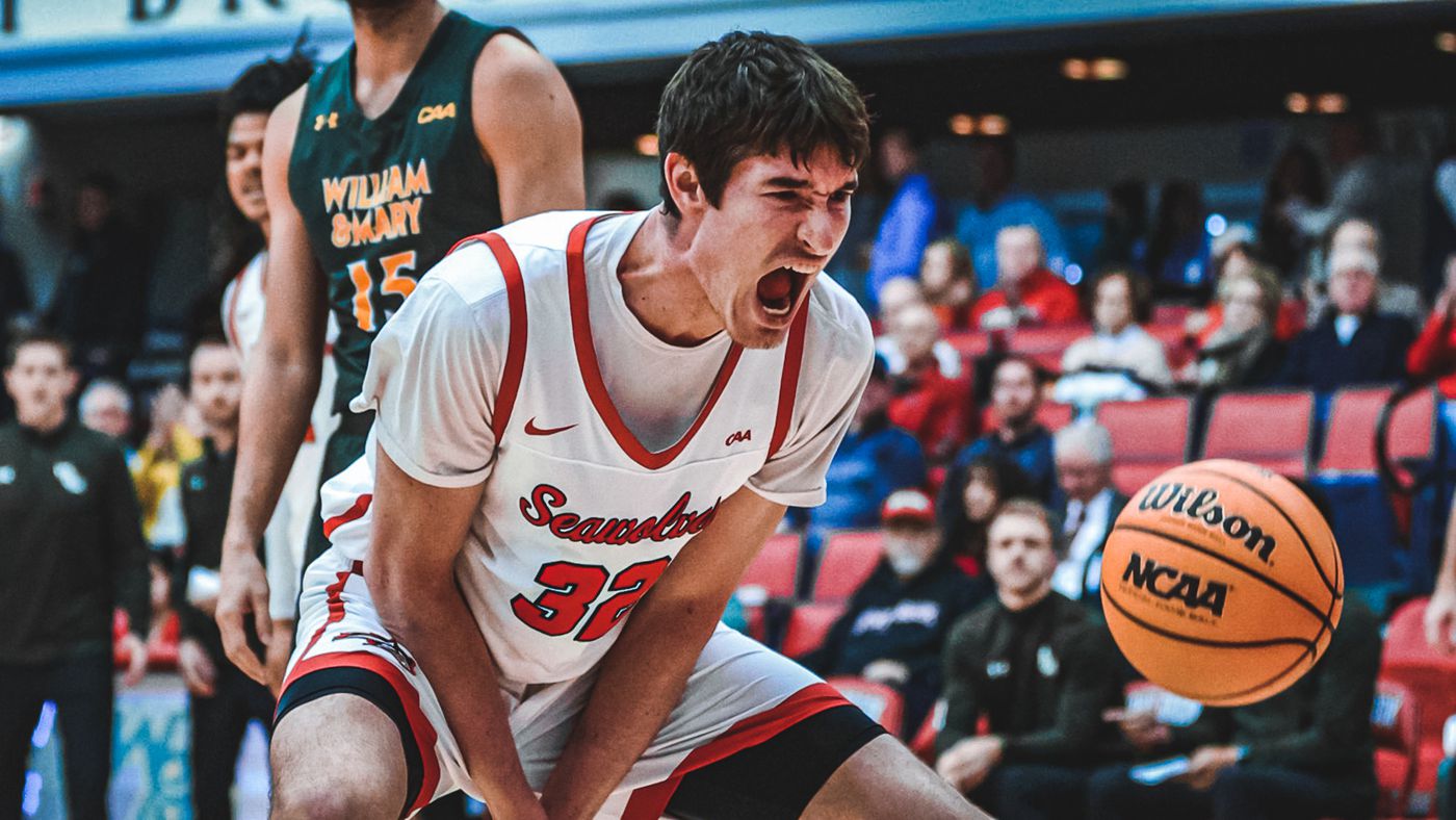 Stony Brook Seawolves men's basketball