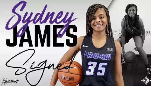 Furman Paladins women's basketball