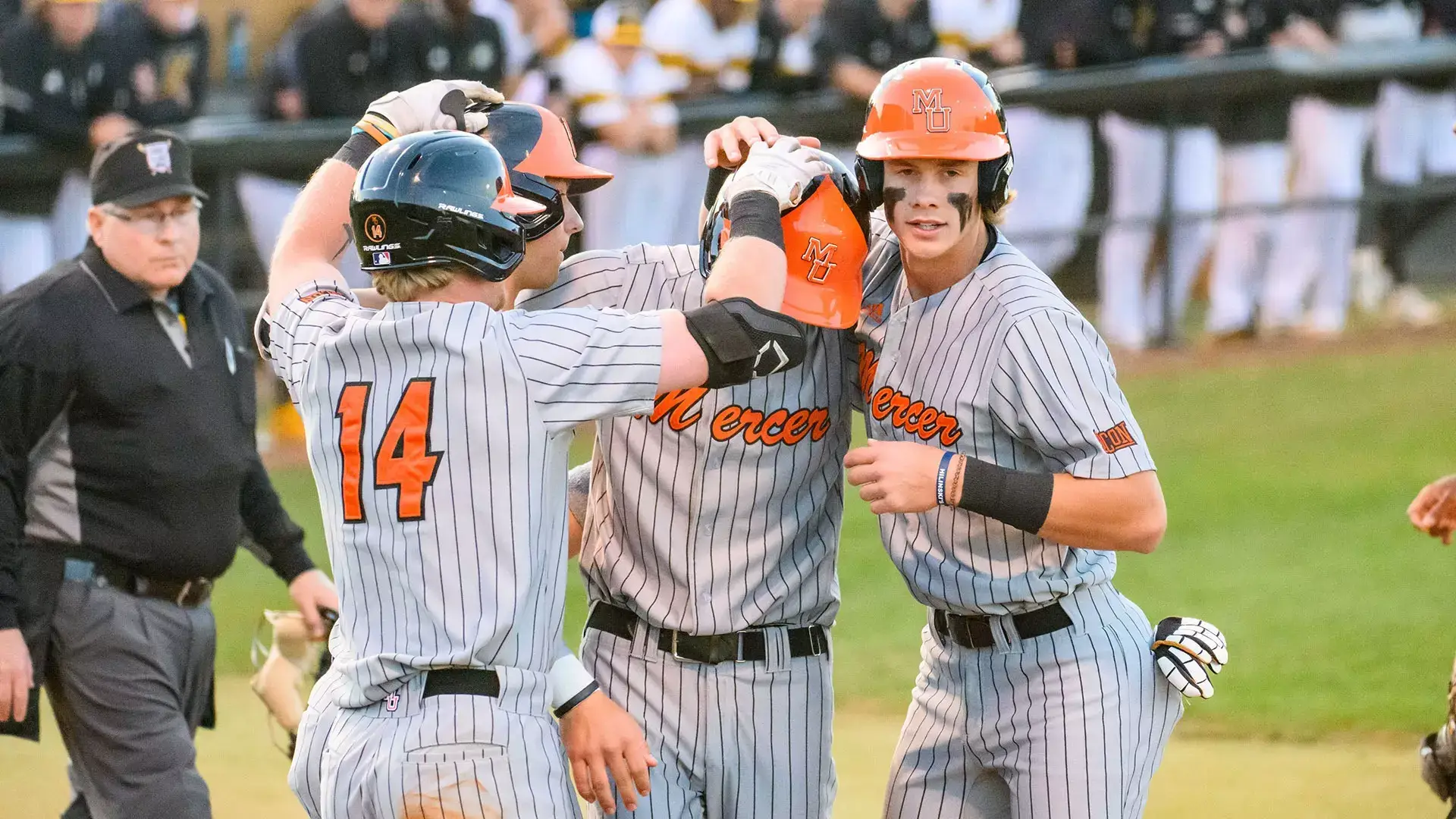 Mercer Bears Baseball