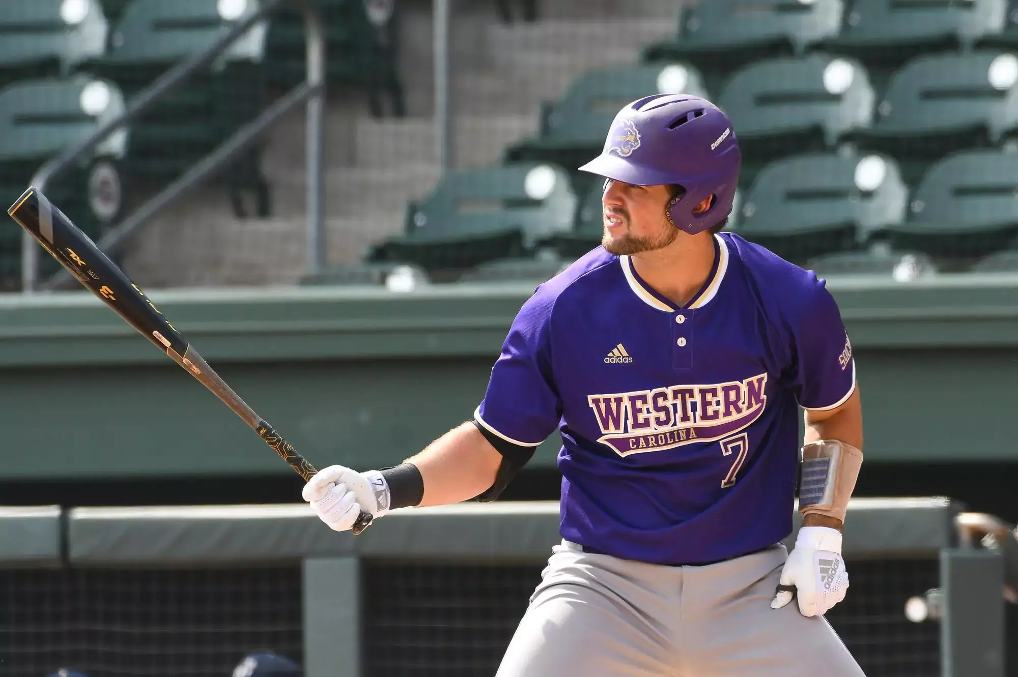 Western Carolina Catamounts Baseball