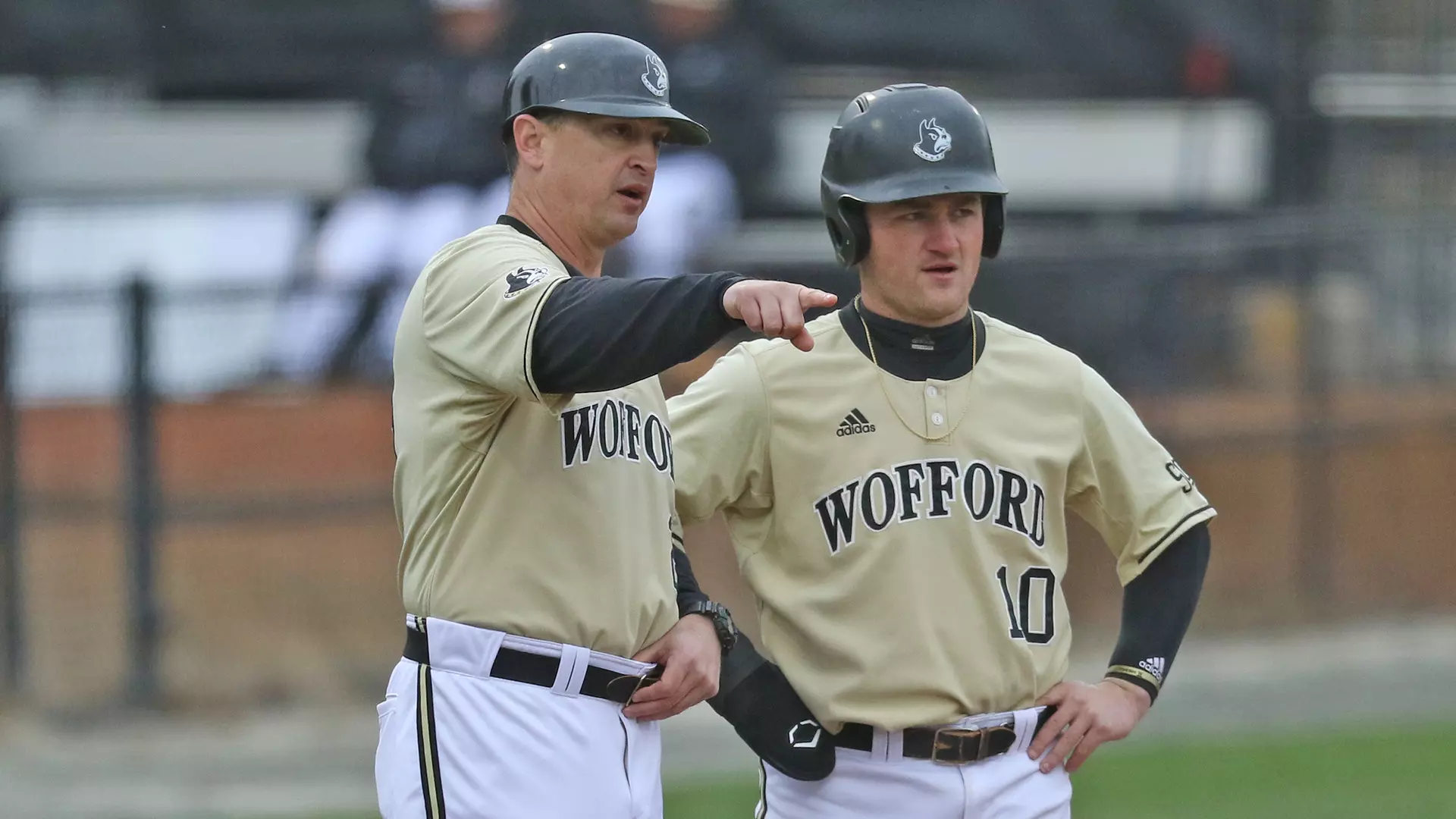 Wofford Terriers baseball