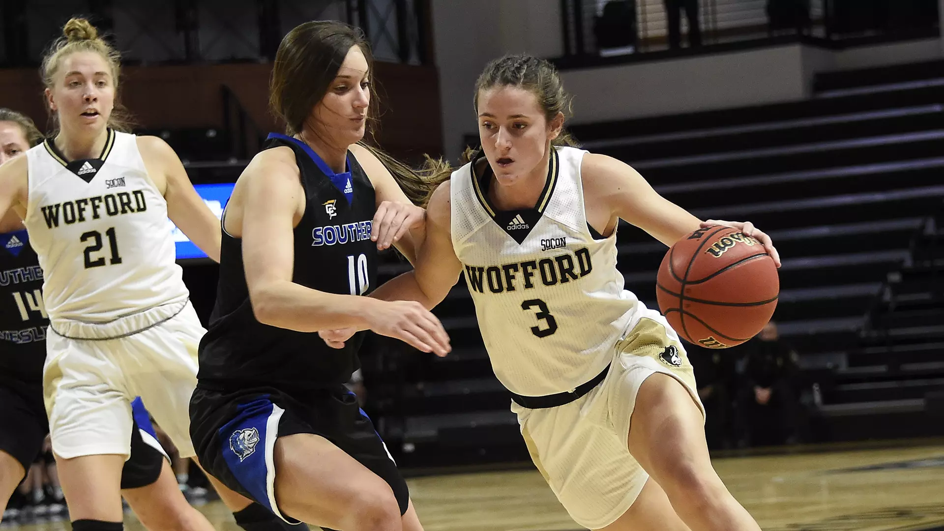 Wofford Terriers women's basketball