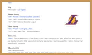 Team History STH New Icon #2