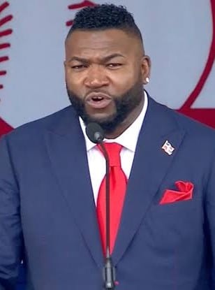 Ed Barrow Hall of Fame MLB | Logo History David Ortiz Hall of Fame MLB